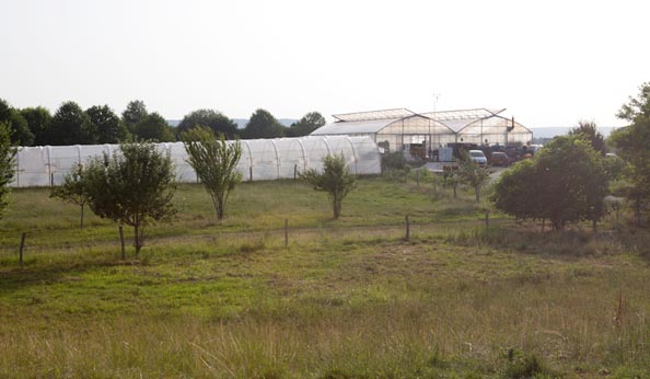 Notre exploitation de Port-sur-Saône